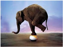 The Balancing Act - elephant on a ball
